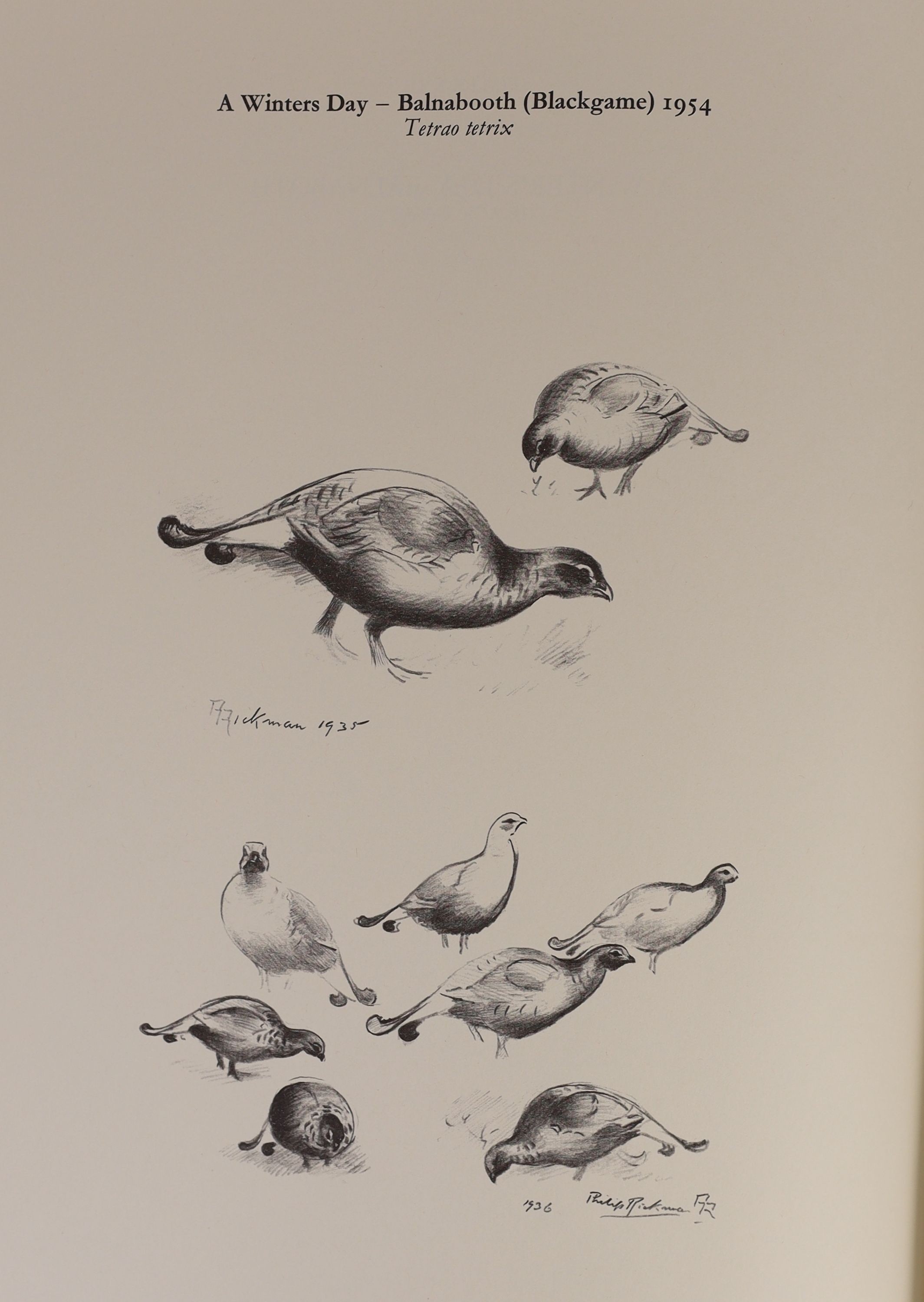 Rickman, Philip - A Selection of Bird Paintings and Sketches, one of 500 signed by the artist, folio, original half green morocco gilt, with mounted portrait and 31 mounted plates, Curpotten Ltd., London, 1979, in slip c